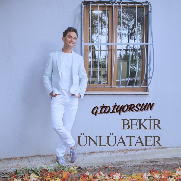 Gidiyorsun