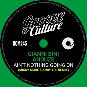 Ain't Nothing Going On (Micky More & Andy Tee Remix) - Single