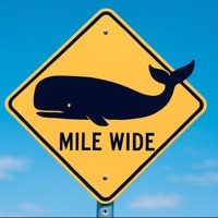 Mile Wide - Single - Mandy Mankind