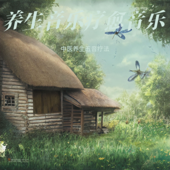 黃帝內經五行養生音樂 五音療疾 調養五臟 養生五音 療愈音律 古琴五音療愈 養生音樂 疏肝解鬱安神放鬆 中醫養生音樂療法