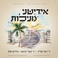 Yiddishe Maalos - אידישע מעלות (feat. יואלי קליין, שייע גרוס & Yiddish Nachas) - Single - David Kaufman
