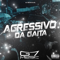 Agressivo da Gaita - Single - DJ ZEZÃO DA ZL
