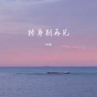 转身别再见 - Single - 吹福