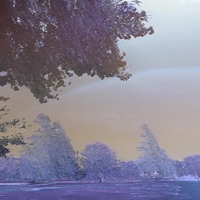 anything u want - Single - 4evr