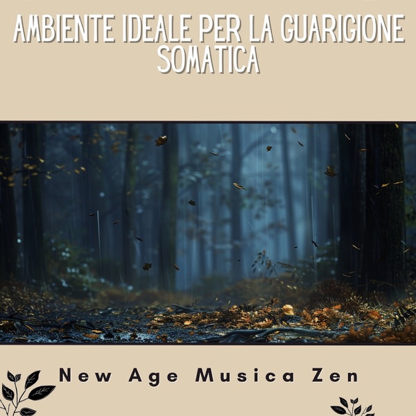 Ambiente Ideale Per La Guarigione Somatica