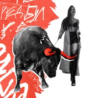 ред бул - Single - MIDIN