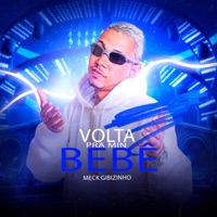 Volta pra Min Bebê - Single - Meck Gibizinho