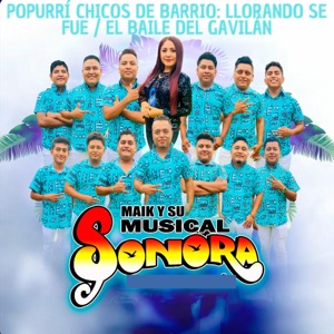 Popurrí Chicos de Barrio: Llorando Se Fue / El Baile del Gavilán - Single