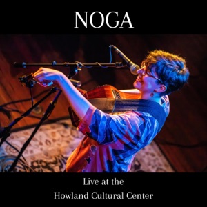 Live at the Howland Cultural Center - Single