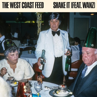 Shake It (feat. Wanz) - Single