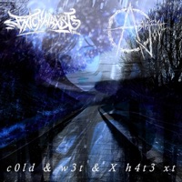 c0ld & w3t & X h4t3 xt - Single - Bxtchwrxsts