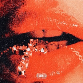 E X C I T E M E N T (feat. Jglizzy) Ceddy