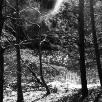 i wanna be next to you - Single - Z3n721