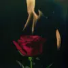 Everything