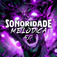 Slide Sonoridade Melodica 5.0 - Single - DJ LBK
