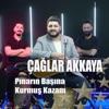 Pinarin Basina Kurmus Kazani