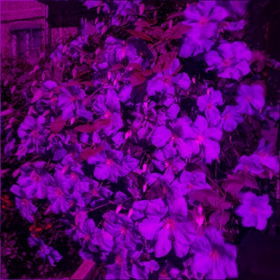 Current - Single