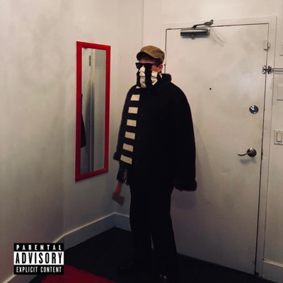 High Functioning Addict - Single