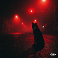 Red Light Interlude - Single - CWalka