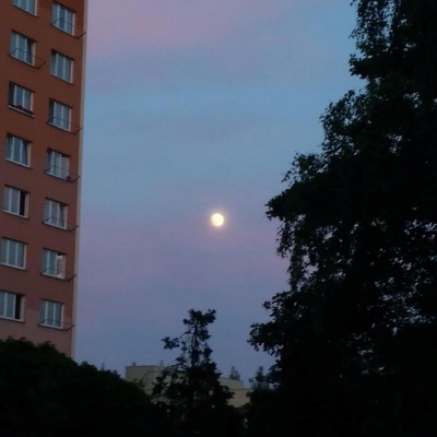 S_d_a - Deconstructed Barber