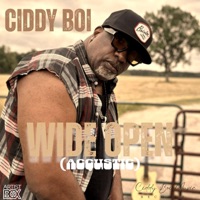WIDE OPEN (accustic) - Single - Ciddy Boi P