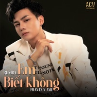 Em Biết Không (Rumba) - Single - Phan Duy Anh & Acv