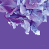 Pop Ambient 2025 - Verschiedene Interpret:innen