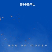 Bag of Money artwork