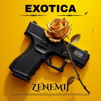 Exotica - Single - Zenemij