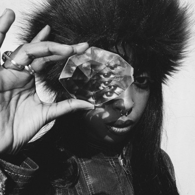 Schaap Wolf Herder in de Wind - Single