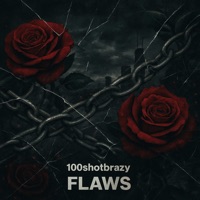 Flaws - Single - 100shotbrazy