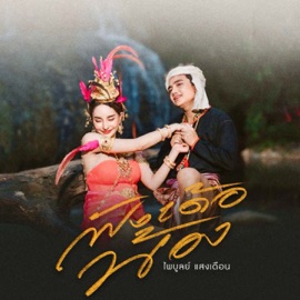 ฟังเด้อน้อง ไพบูลย์ แสงเดือน