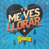 Y Si Me Ves Llorar