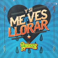 Y Si Me Ves Llorar