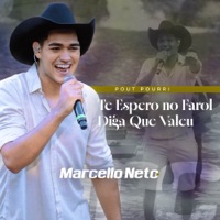Pout-Pourri Axé: Te Espero no Farol / Diga Que Valeu (Ao Vivo) - Single - Marcello Neto