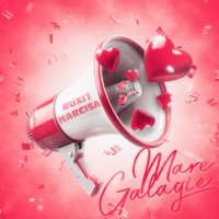 Mare Gălăgie - Single - Ruxit, Narcisa & Ministerul Manelelor