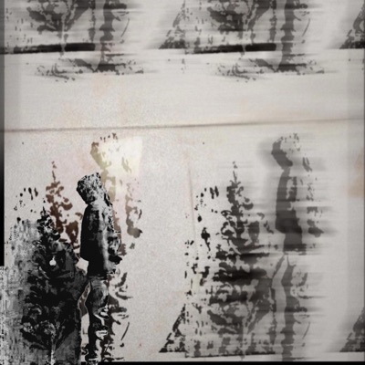 Imperfectly Flawed - Single