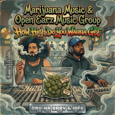 How High Do You Wanna Get - Single