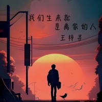 我们生来就是离家的人 - Single - 王梓寻