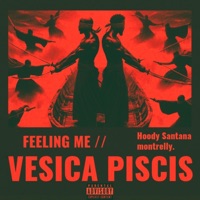 Feeling Me // Vesica Piscis - Single - montrelly.