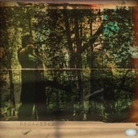 Rebirth - Sitystar Jay