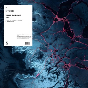 Wait for Me - Single