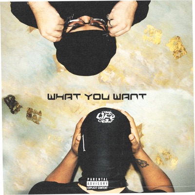 What You Want - Single