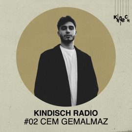 High (feat. Remo) [Mixed - November 2025] gleb filipchenkow, Alexey Union & Kindisch Radio