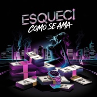 Esqueci Como Se Ama - Single - Realsid & DJ Renatin