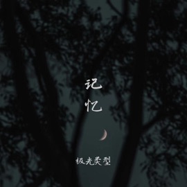 记忆 (伴奏) 极光类型