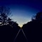 Bear (Demo) - Will Kibodeaux lyrics