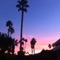 Mexico - ShayDbeats lyrics