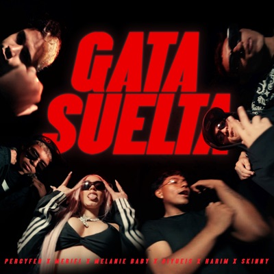 Gata Suelta (feat. Biyueis, Harim & Meriel) - Single