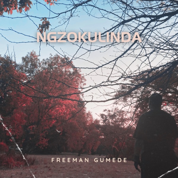 Ngzokulinda